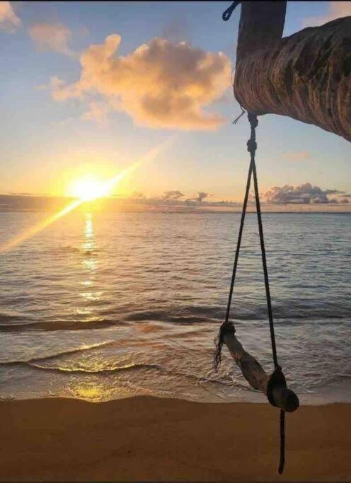 Breezy Beachfront Bali-Style Haven 180 Degree Oceanview Hau'ula 외부 사진