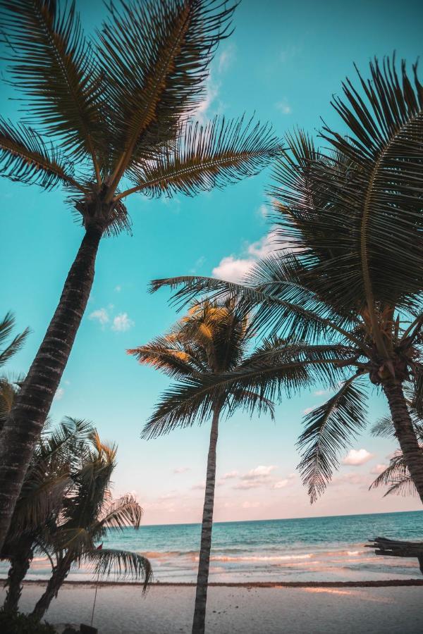 Breezy Beachfront Bali-Style Haven 180 Degree Oceanview Hau'ula 외부 사진