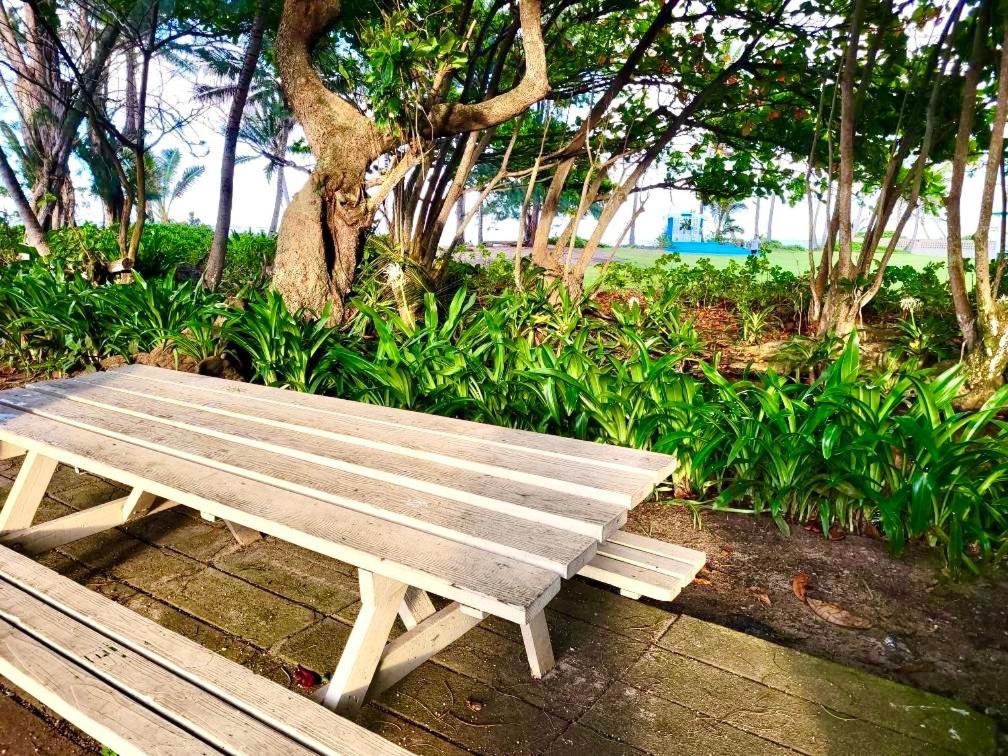 Breezy Beachfront Bali-Style Haven 180 Degree Oceanview Hau'ula 외부 사진