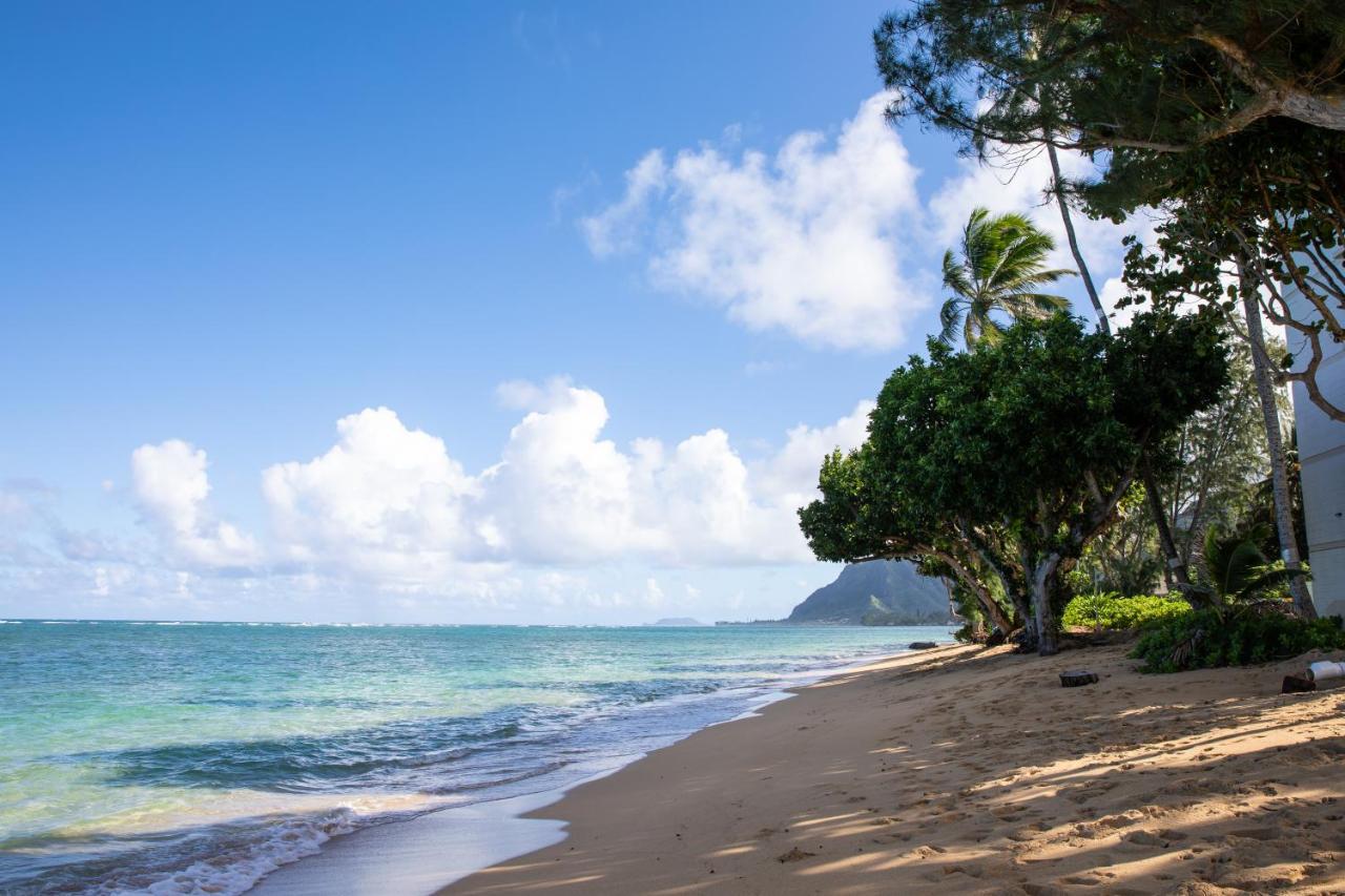Breezy Beachfront Bali-Style Haven 180 Degree Oceanview Hau'ula 외부 사진